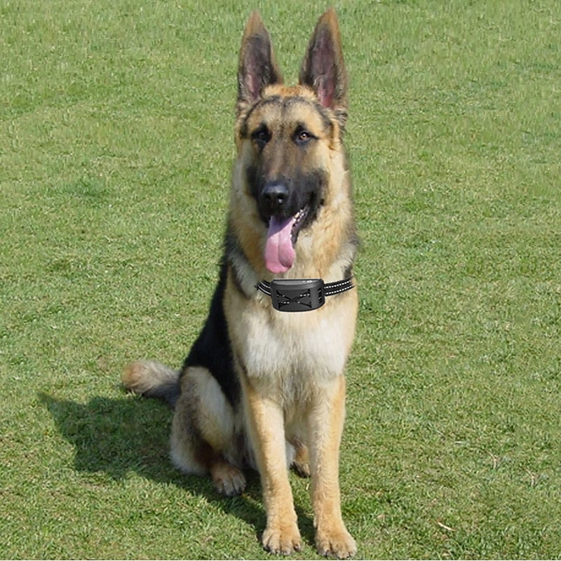 Wireless Dog Fence System with Adjustable Collar 9-240 Meter Range for Safe Boundary Dog Recognition Training Device with Sound Vibration Shock Waterproof | Sansoti