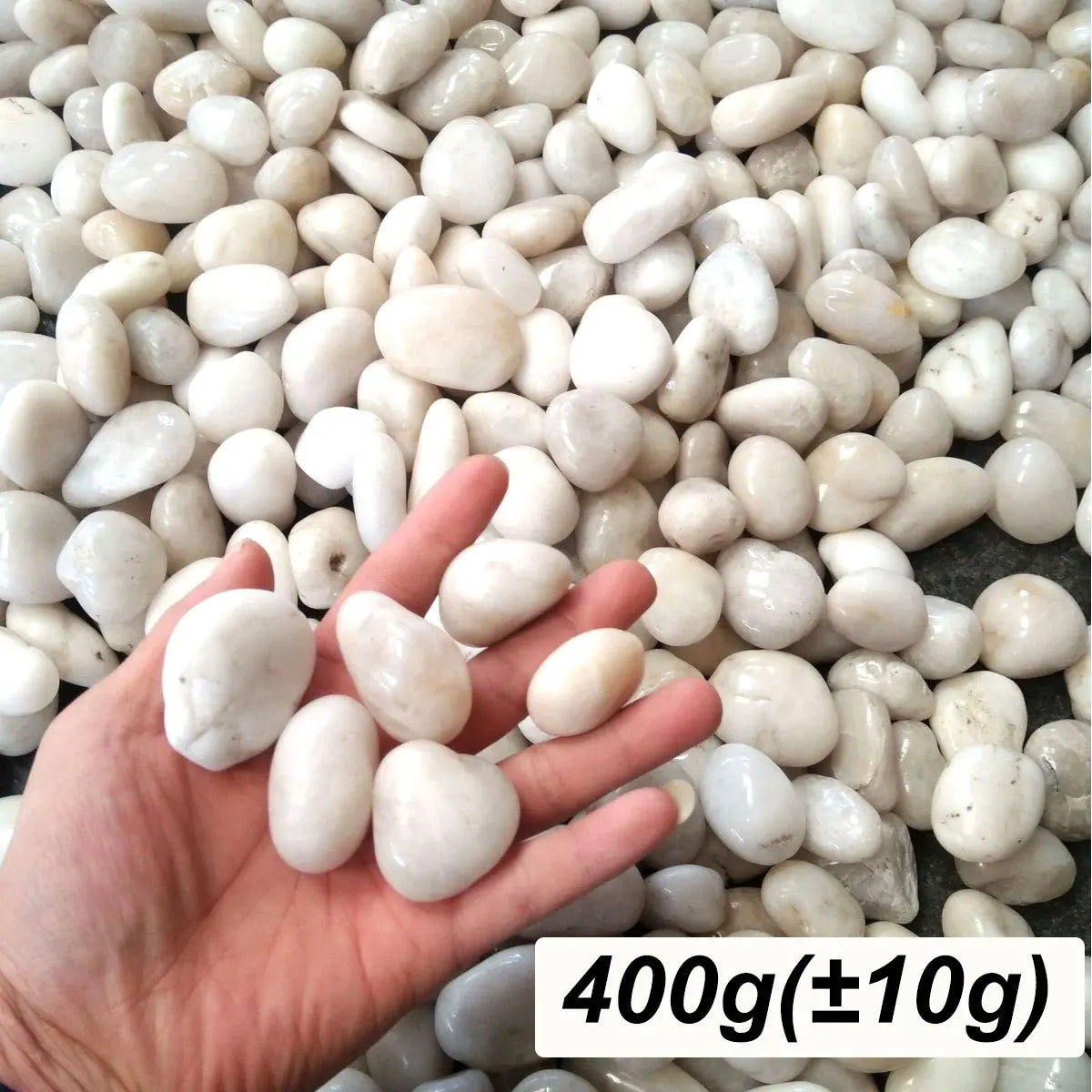 Polished White River Pebbles 2-3 cm Natural Stone Decoration for Planters, Aquariums, Gardens, Ponds, and Paths | Sansoti