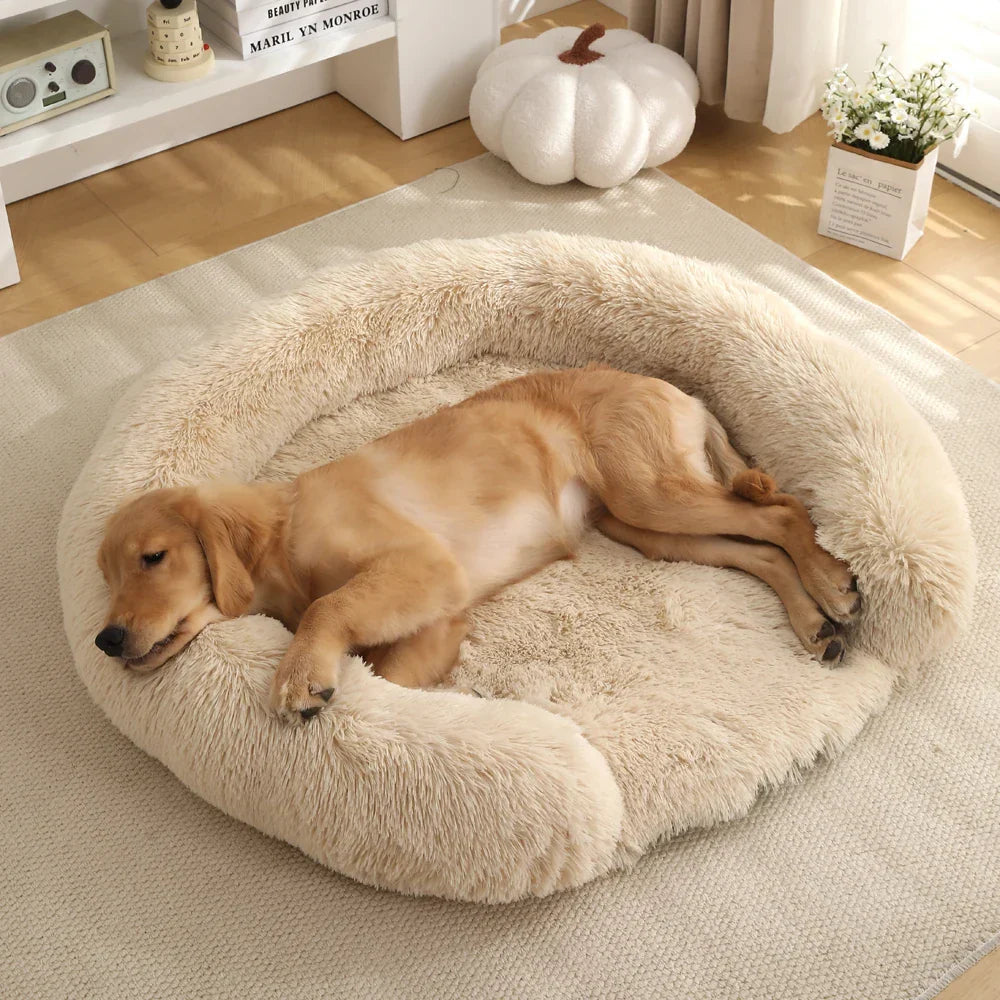 Semi-Round Plush Dog Bed with Non-Slip Base Removable Cover Soft Sleeping Spot Washable Pet Dog Bed | Sansoti