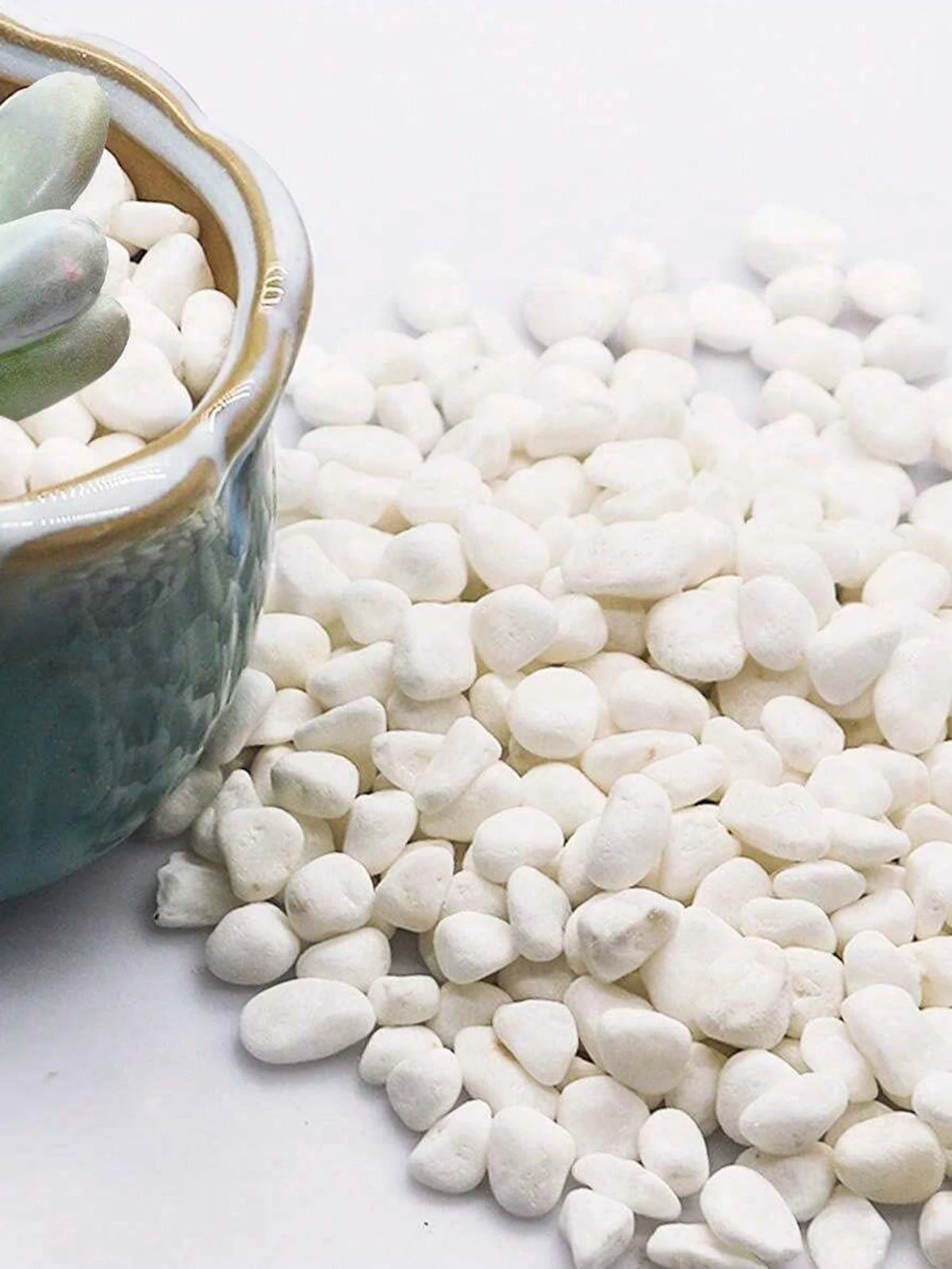 Decorative White Garden Pebbles 100-800g Natural Stone Vase Filler Aquarium Plants Bonsai Gravel Decoration | Sansoti