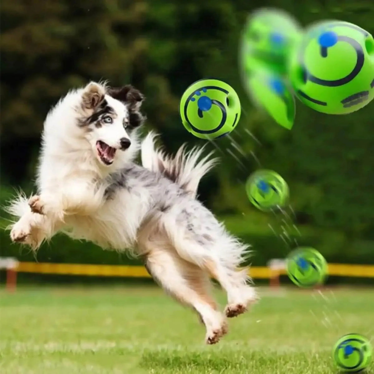 Interaktiver Hundeball mit Geräuschen für IQ-Training, Bewegung und geistige Anregung - Haustierspielzeug | Sansoti