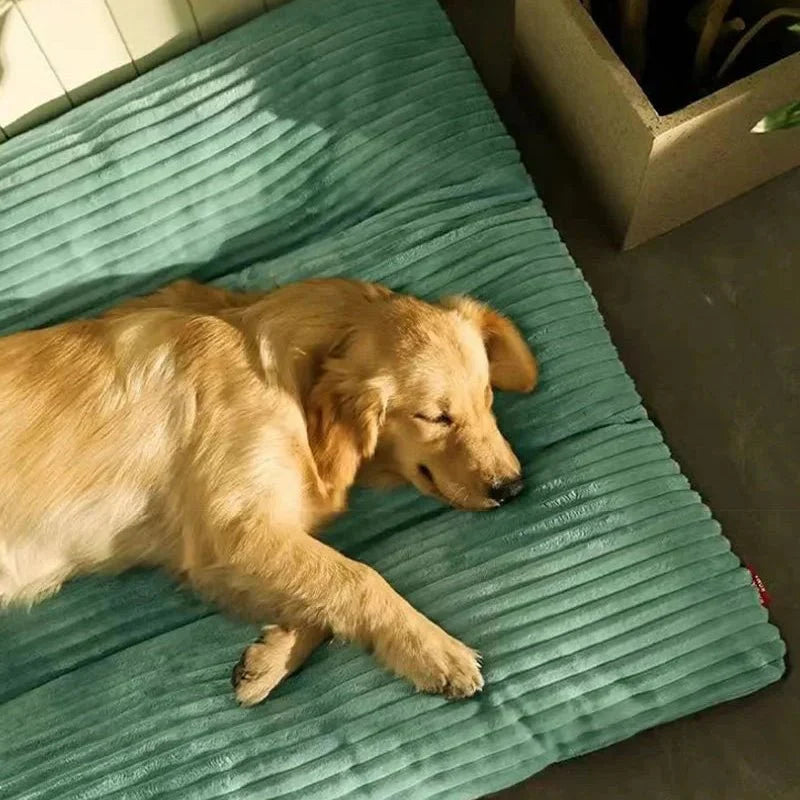 Hundekissen Plüsch Weich Füllung Komfortabel Schlafkissen Hund Welpe Senior Wohnzimmer | Sansoti