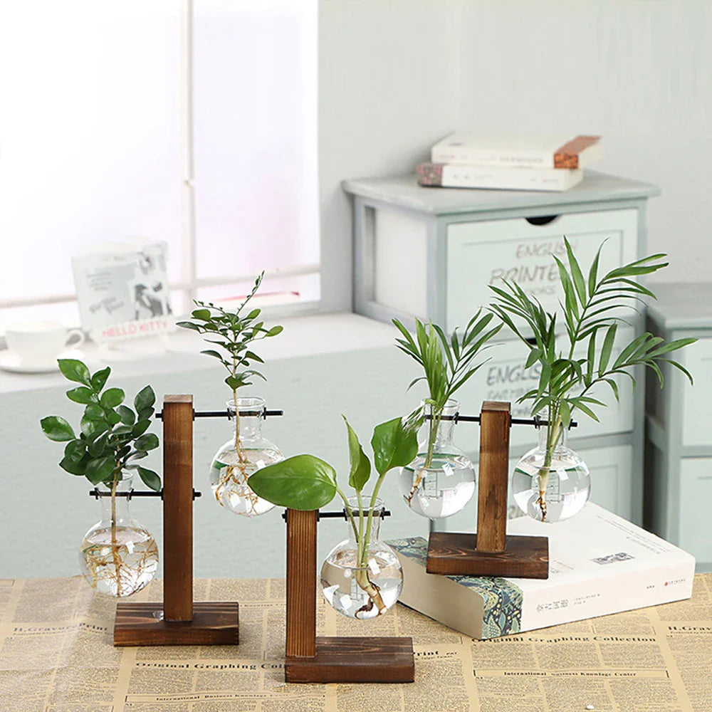 Glasvase auf Holzständer Dekorativ Retro Hydroponik Blumentopf Transparentes Glas Stimmungsakzent für Blumen und Stecklinge | Sansoti