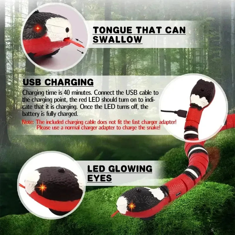 Electronic Interactive Snake Toy with Motion Sensor, USB Rechargeable, for Dogs, Cats, and Pets | Sansoti