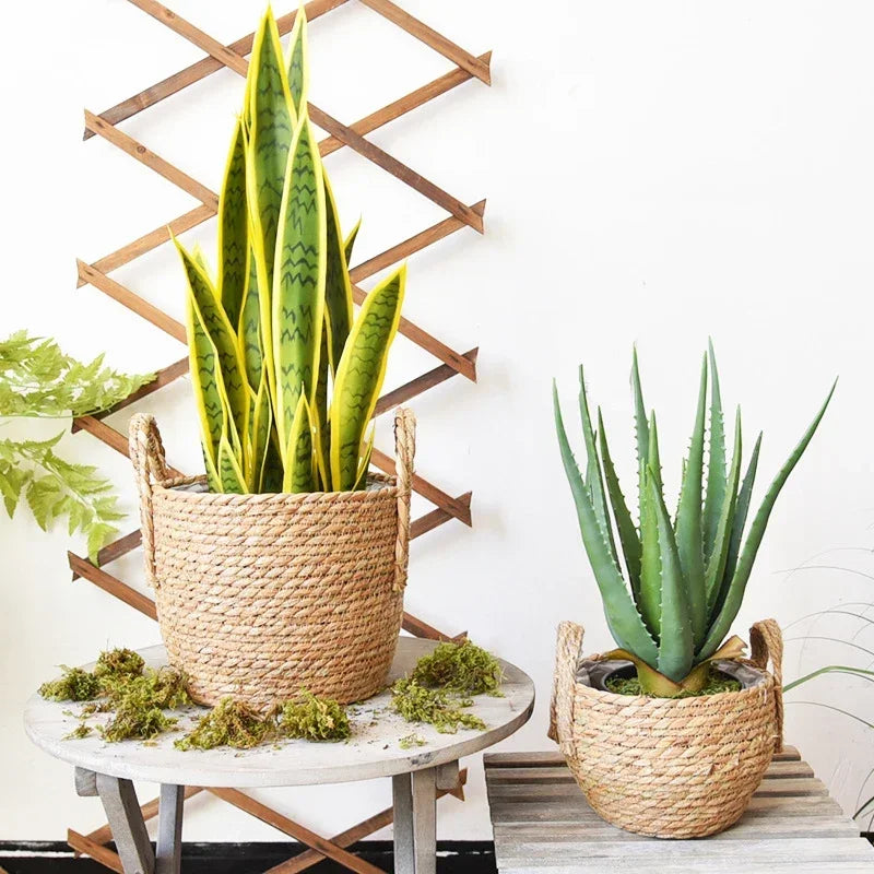 Cesta para plantas trenzada de hierba marina natural, S-L, para salón y balcón, hecha a mano, maceta, cesta de ratán, interior, decoración boho | Sansoti