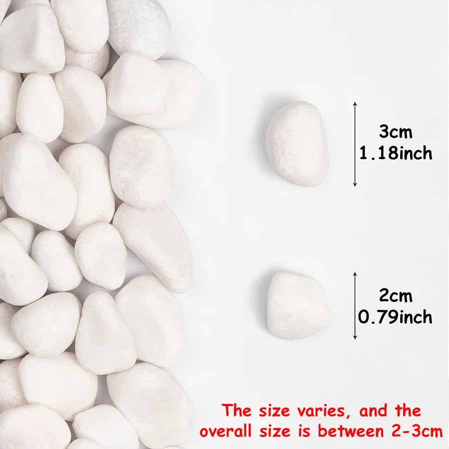 Polished White River Pebbles 2-3 cm Natural Stone Decoration for Planters, Aquariums, Gardens, Ponds, and Paths | Sansoti