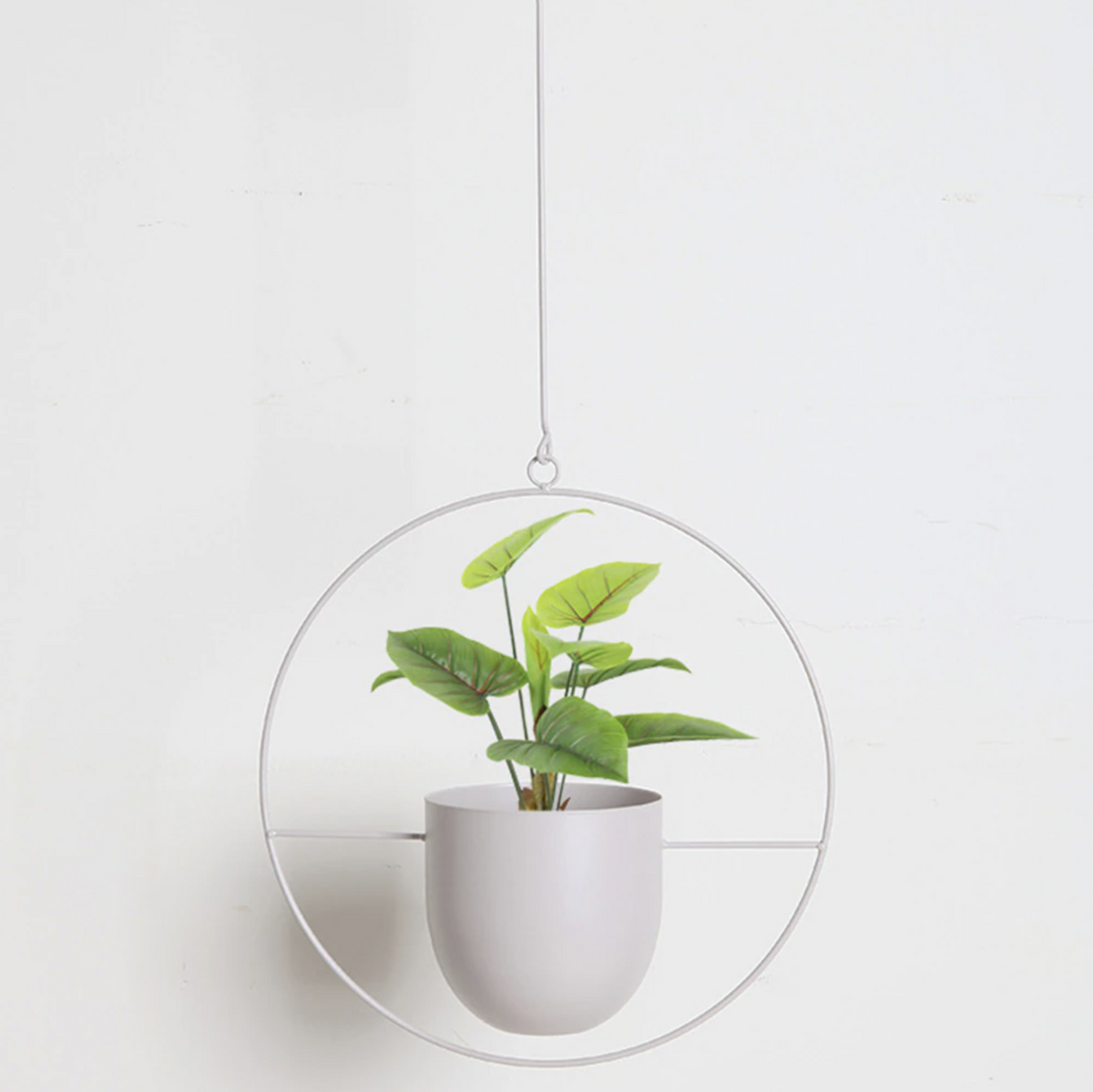 Wandplantenhouder met Minimalistisch IJzeren Frame voor Hangplanten | Sansoti
