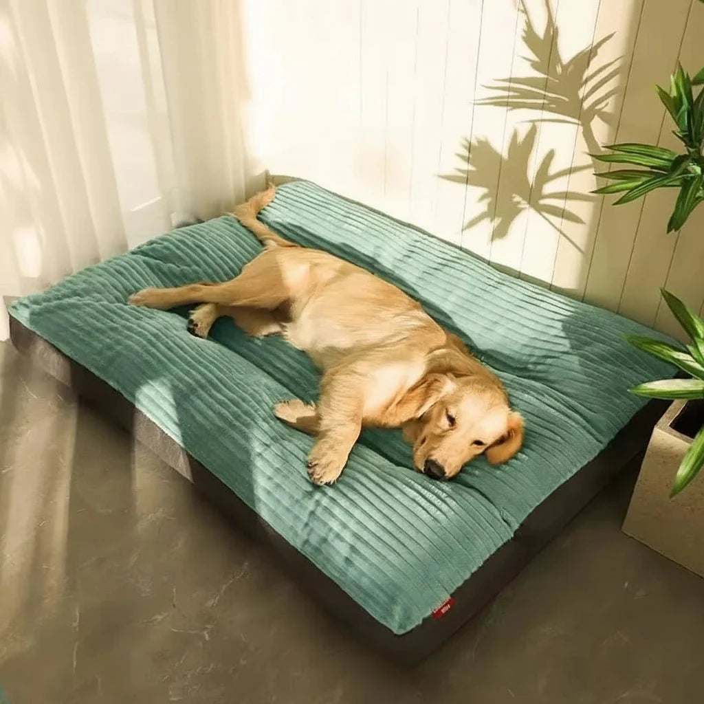 Dog Cushion Plush Soft Filling Comfortable Sleeping Pillow Dog Puppy Senior Living Room | Sansoti