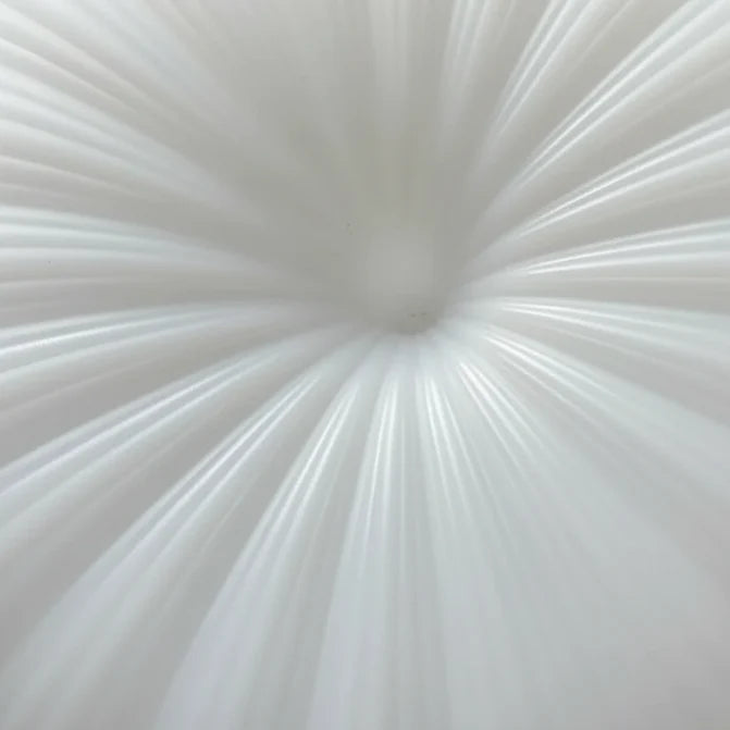 Pleated Acrylic Ceiling Lamp Ø30-55cm Warm White LED Modern Japandi Style Ceiling Lighting Living Room | Sansoti