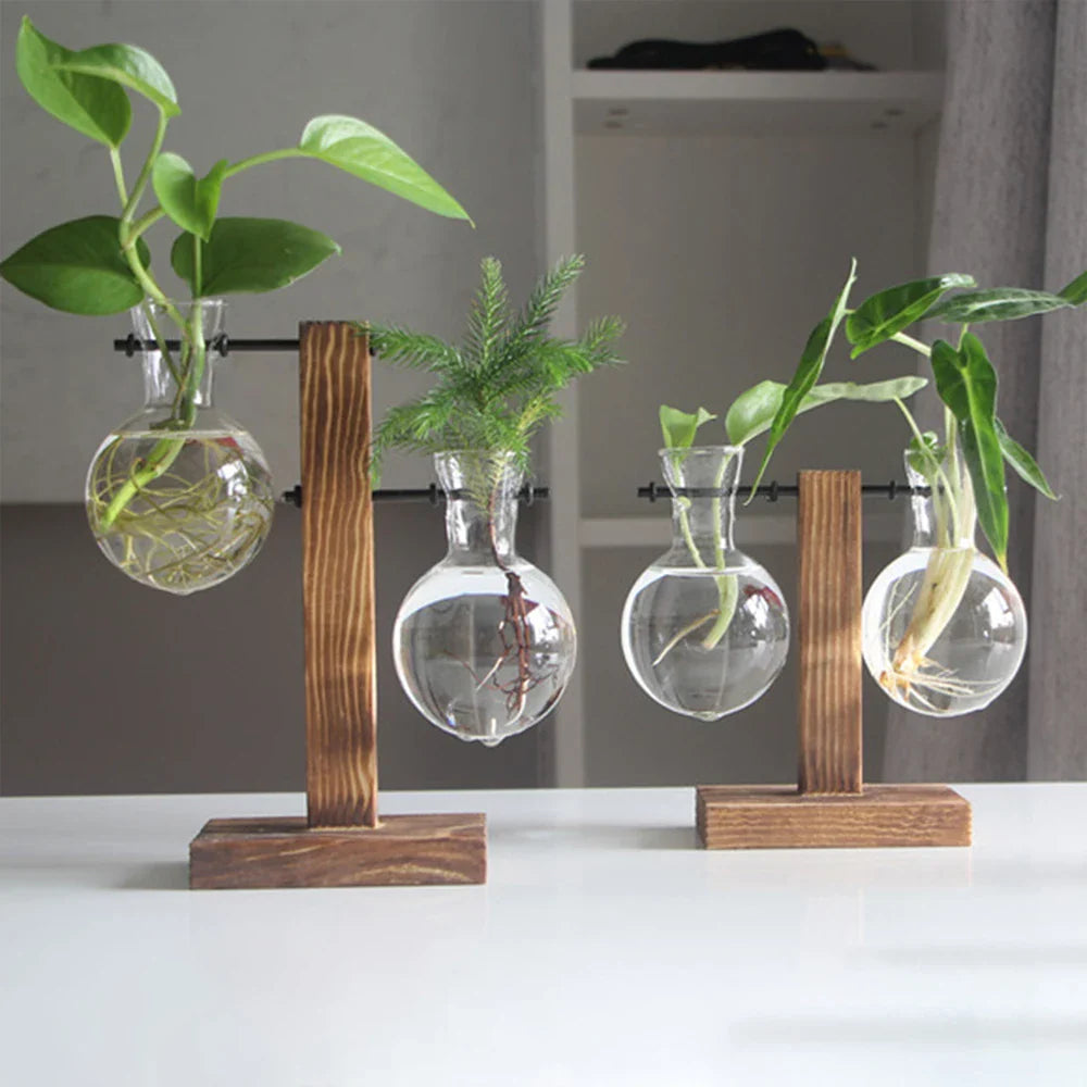 Glasvase auf Holzständer Dekorativ Retro Hydroponik Blumentopf Transparentes Glas Stimmungsakzent für Blumen und Stecklinge | Sansoti