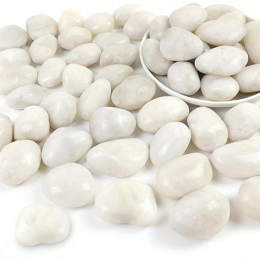 Polished White River Pebbles 2-3 cm Natural Stone Decoration for Planters, Aquariums, Gardens, Ponds, and Paths | Sansoti