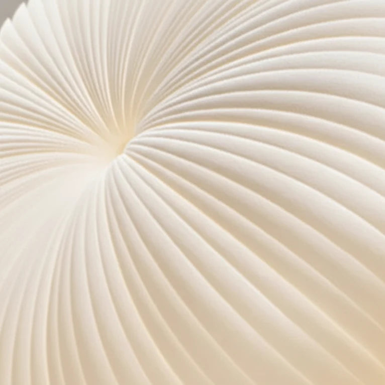 Pleated Acrylic Ceiling Lamp Ø30-55cm Warm White LED Modern Japandi Style Ceiling Lighting Living Room | Sansoti