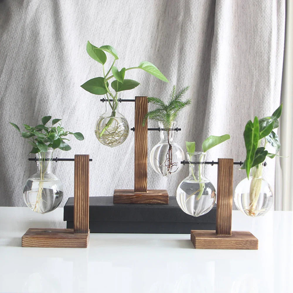 Glasvase auf Holzständer Dekorativ Retro Hydroponik Blumentopf Transparentes Glas Stimmungsakzent für Blumen und Stecklinge | Sansoti