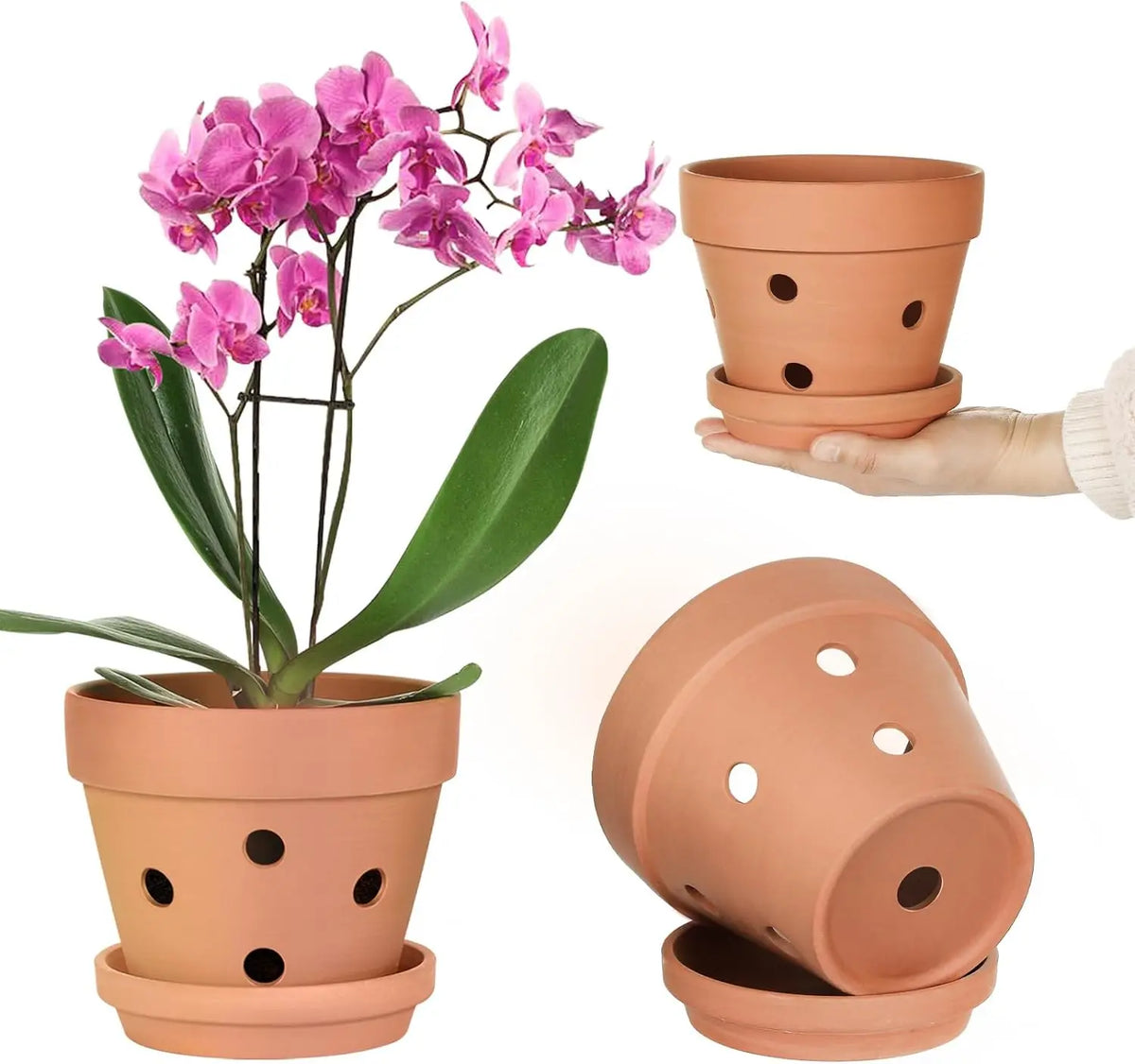 Terracotta Orchid Pots Set of 6, 10cm, with Drainage Holes, Saucers, Clay Growing Pots, Indoor Flower Pots | Sansoti