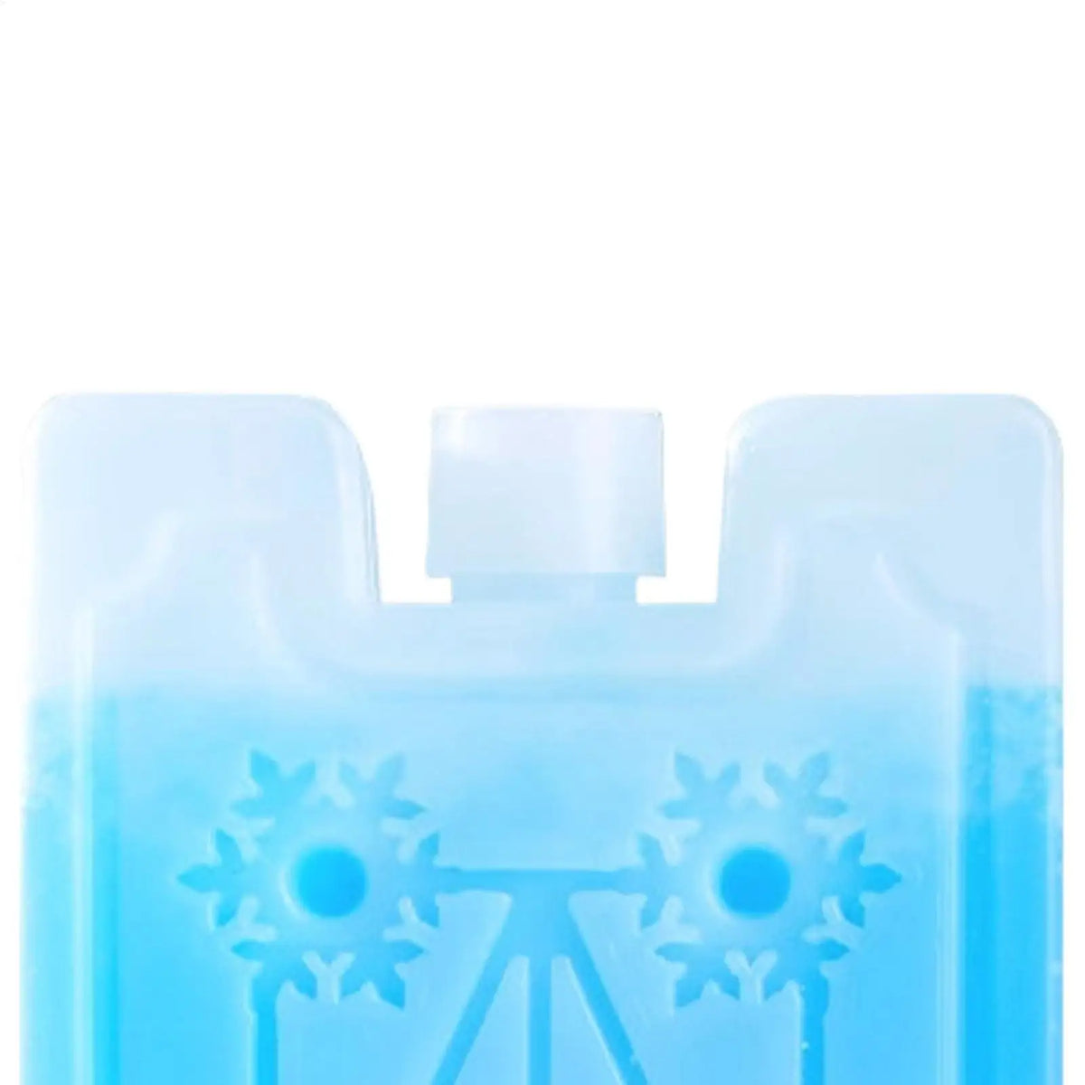 Reusable Rectangular Ice Pack for Cooler Bags, Picnics, Camping, and Outdoor Activities - Freezes Cold and Lasts Long | Sansoti