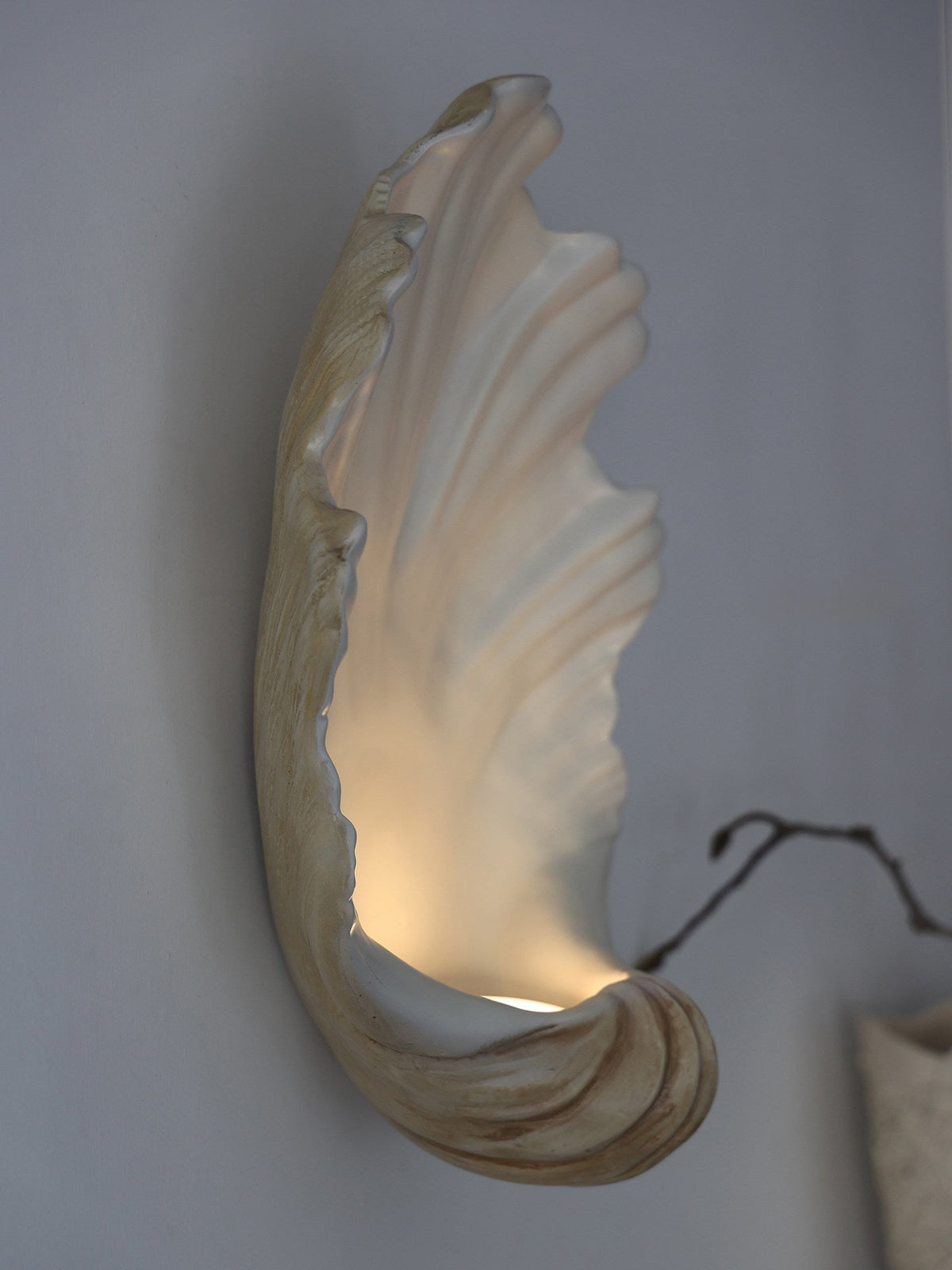 Wandlamp Schelp Crèmewit Natuurhout E12 Fitting Organische Vormen Woonkamer Slaapkamer Hal 42×19×52cm | Sansoti