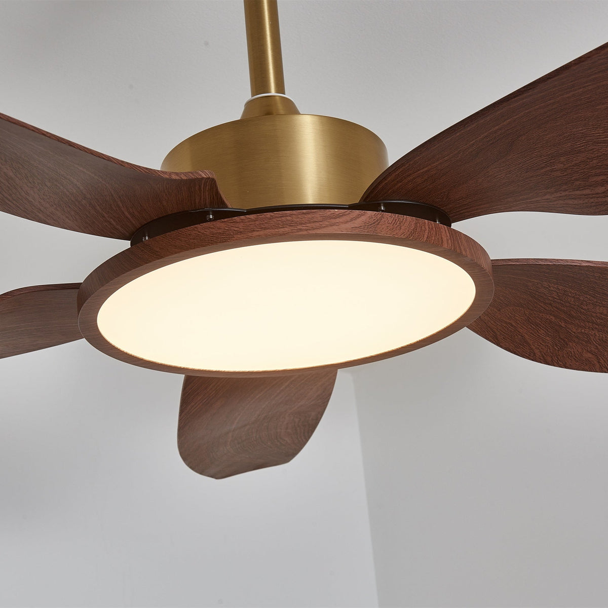 Modern Ceiling Fan with Walnut & Brass Lighting – Ø106cm/Ø122cm | Sansoti