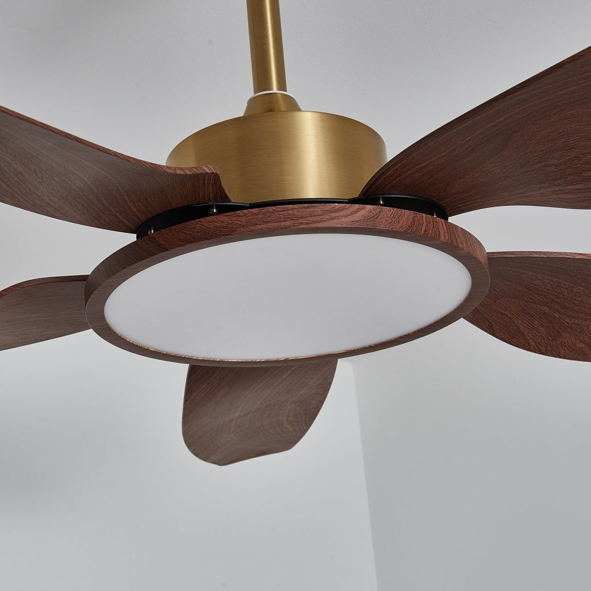 Modern Ceiling Fan with Walnut & Brass Lighting – Ø106cm/Ø122cm | Sansoti