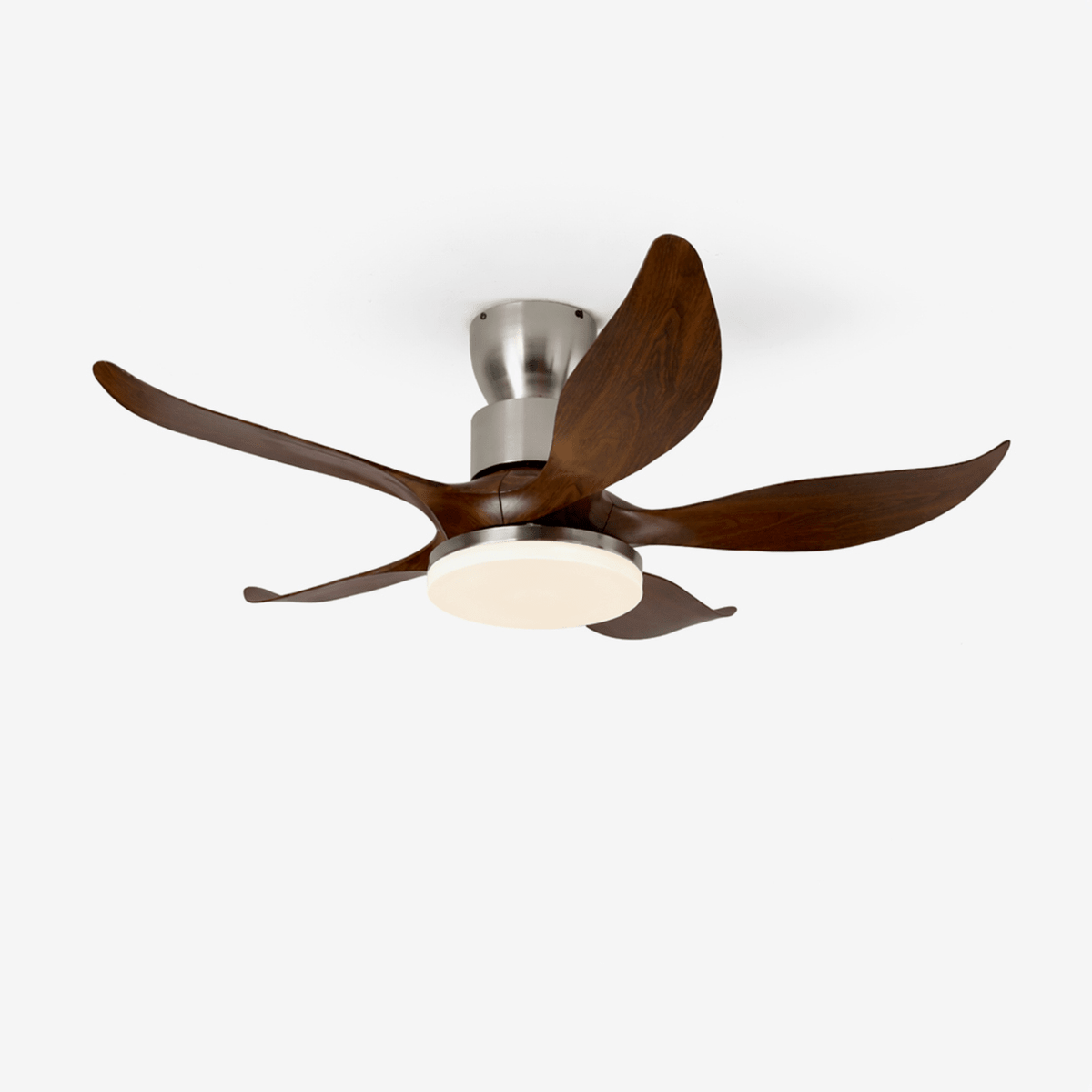 Ceiling fan Celia with lighting and remote control | 5 blades | Ø136cm | Sansoti