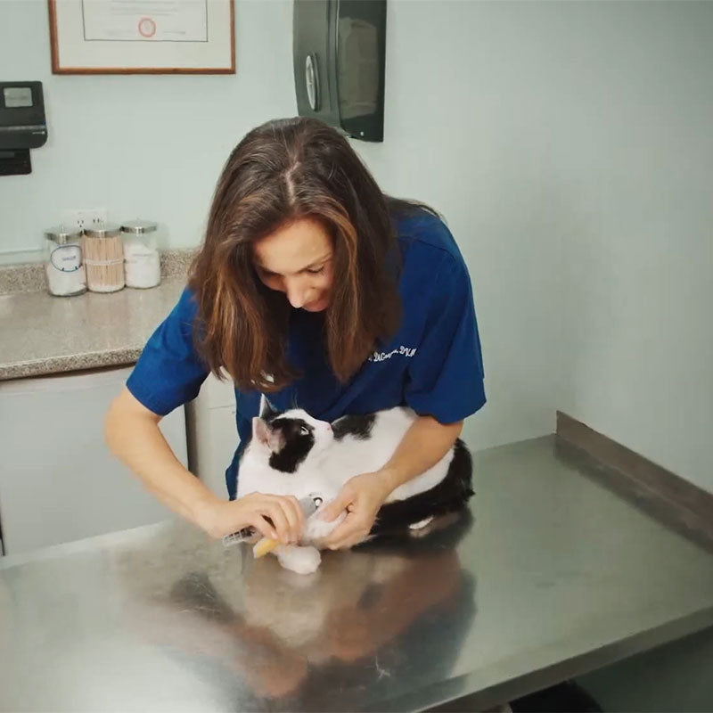 Nagelknipper voor Honden met Geïntegreerde Sensorbeveiliging | Premium RVS Nageltrimmer met Ergonomisch Handvat | Pijnloos Klauwverzorging voor Grote en Kleine Honden | Veilige Nagelschaar Huisdieren | Sansoti