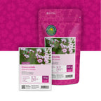 Seifenkraut 'Pink Beauty'  – Saponaria vaccaria