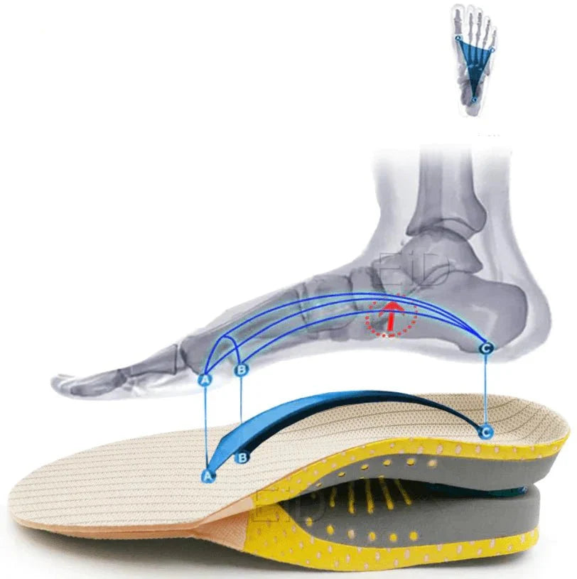 Orthopedic Gel Insoles with Arch Support for Daily Comfort, Pain Relief, and an Optimal Fit | Sansoti