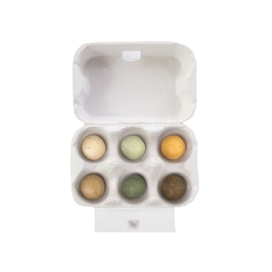 Blossombs Eggbox Saatgutkugeln - 6 Stück [de]