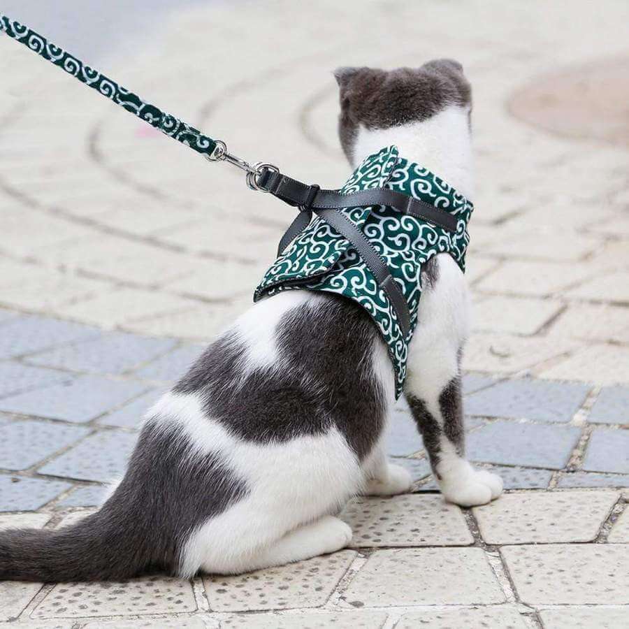 Cat Harness Set with Leash, Adjustable Mesh Vest, Outdoor Walking, XS S, Polyester, Comfortable and Safe Cat Harness | Sansoti