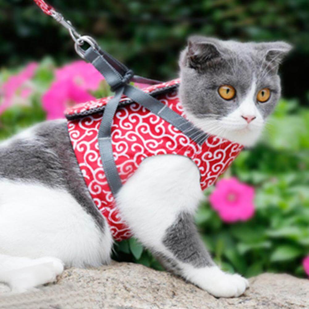 Cat Harness Set with Leash, Adjustable Mesh Vest, Outdoor Walking, XS S, Polyester, Comfortable and Safe Cat Harness | Sansoti