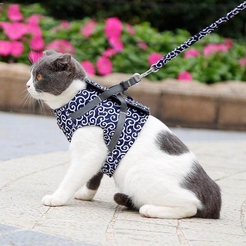 Cat Harness Set with Leash, Adjustable Mesh Vest, Outdoor Walking, XS S, Polyester, Comfortable and Safe Cat Harness | Sansoti