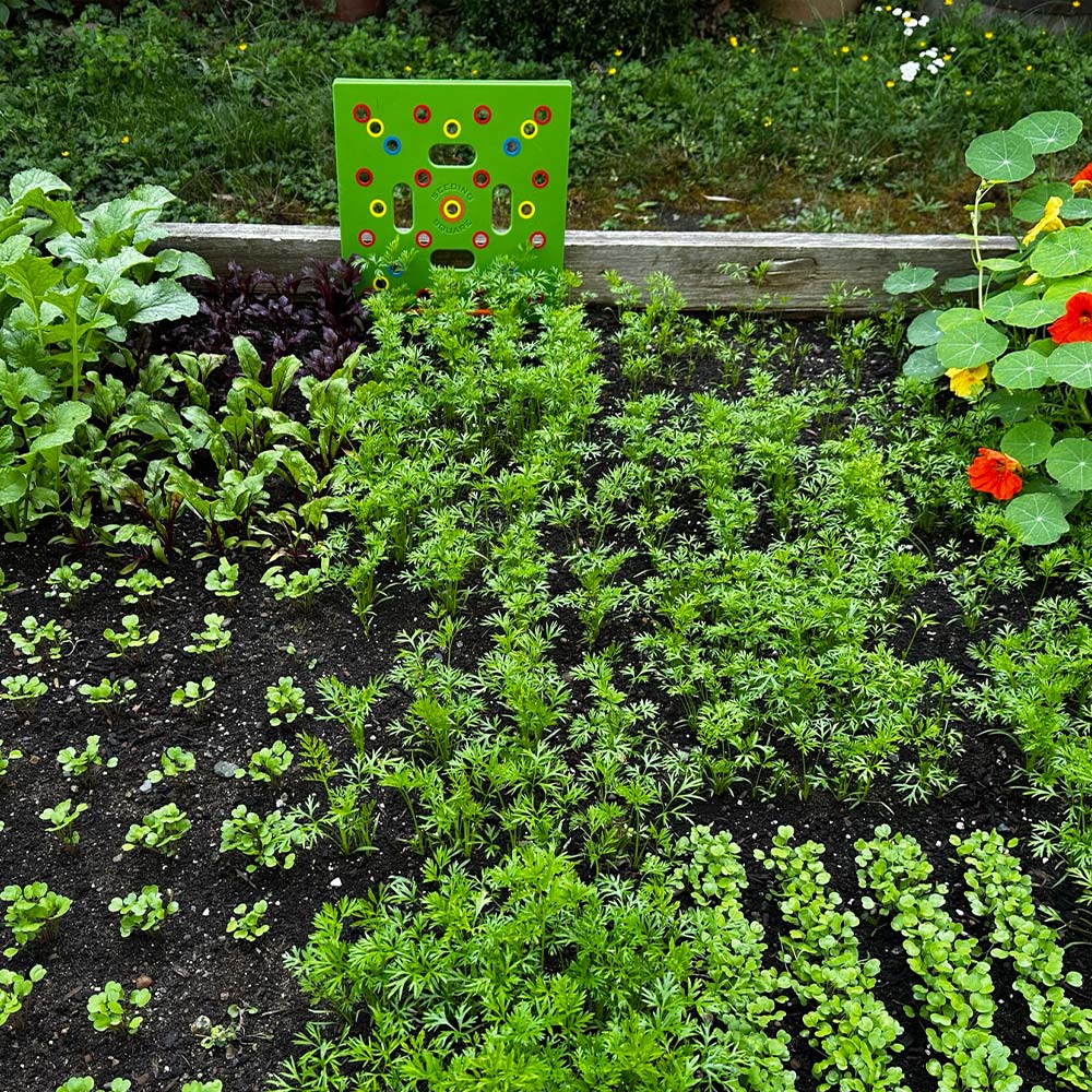 Aussaat-Schablone für Gemüsegarten – Pflanzabstandshilfe für Gemüse & Kräuter – 30x30 cm Aussaat-Schablone mit Anleitung | Sansoti