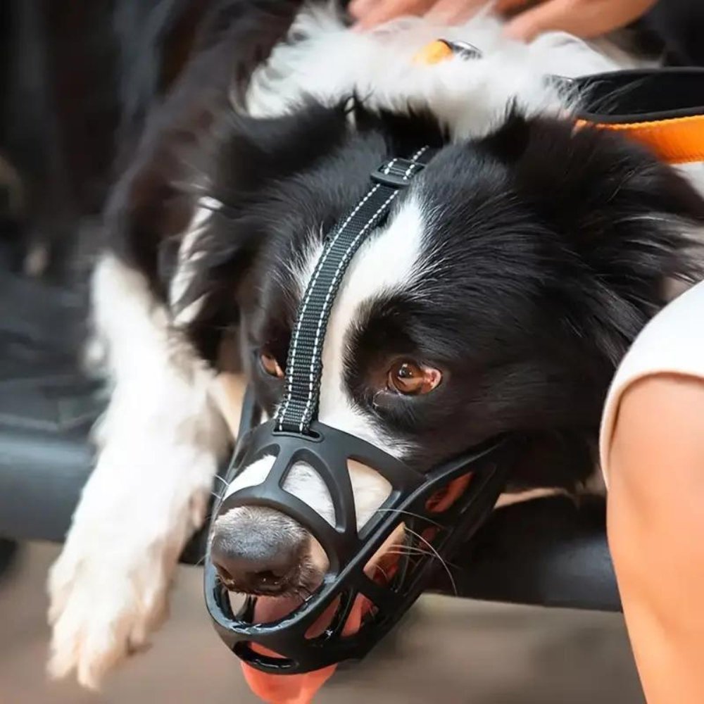 Soft Breathable Dog Muzzle Adjustable for Safe Walks Training Vet Visits Dog Comfort | Sansoti