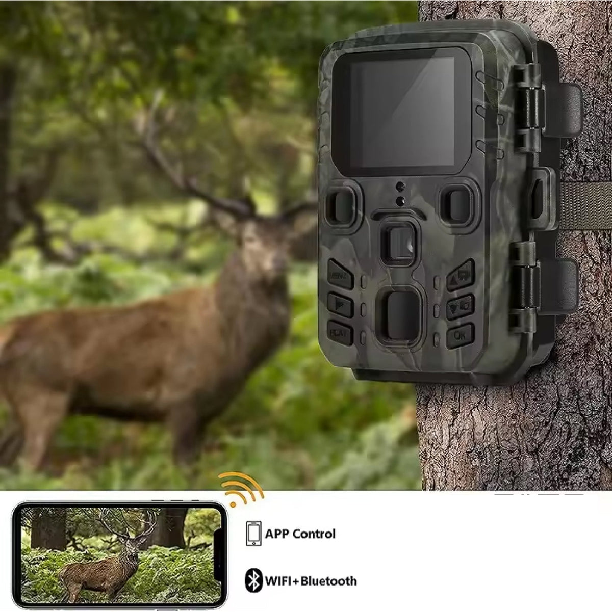 Caméra de chasse avec diffusion en direct WiFi, 20MP, vision nocturne HD, résistante aux intempéries IP65, détection de mouvement, observation de la nature | Sansoti