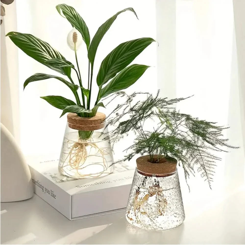 Glass Vase with Cork for Water Plants 400ml Hydroponic Growing System Transparent Decorative Planter | Sansoti