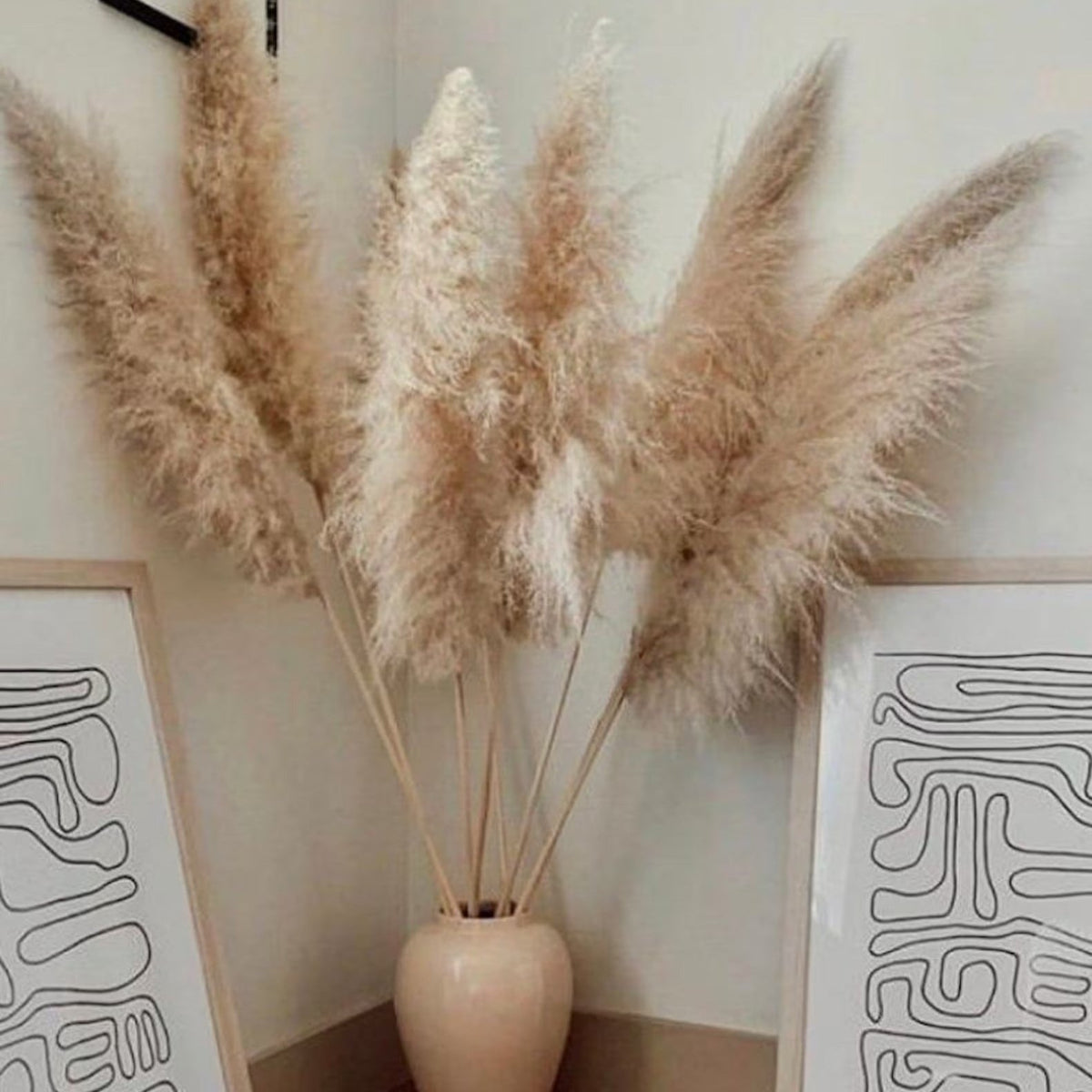 Gedroogde Pampagras Pluimen 10-Delige Set Natuurlijk Decoratief Siergras | Sansoti