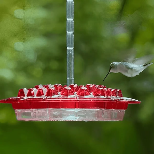 Karmnik dla kolibrów z wbudowaną fosą przeciw mrówkom, 30 otworami do picia, przezroczysty, wiszący, do ogrodu i na balkon | Sansoti