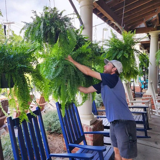 Kunstplant Varens Weersbestendig Voor Buiten 52cm Groen 18 Takken Onderhoudsvriendelijk UV-Beschermd | Sansoti