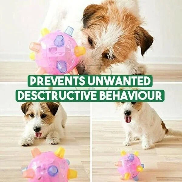 Interactive LED Light Bouncing Ball for Dogs – Exercise, Brain Training Toy, Thermoplastic Rubber | Sansoti