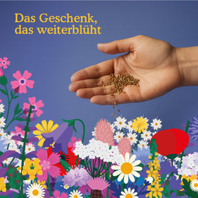 Joyfields Blumensamen-Adventskalender - Sow this is Christmas [de]