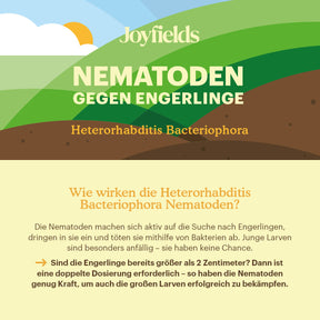 Joyfields Nematoden gegen Engerlinge (Heterorhabditis bacteriophora) [de]