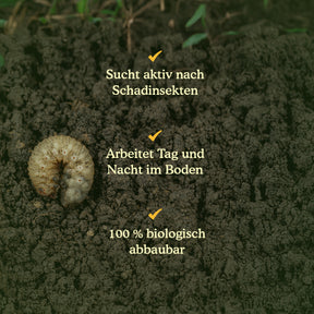 Joyfields Nematoden gegen Engerlinge (Heterorhabditis bacteriophora) [de]