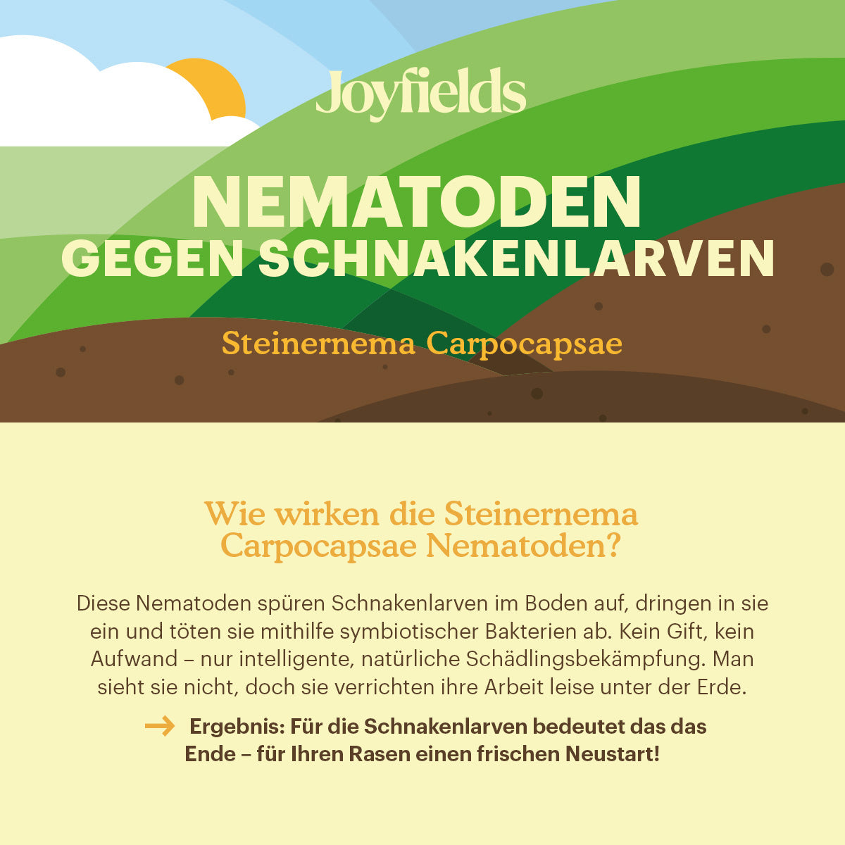 Joyfields Nematoden gegen Schnakenlarven (Steinernema carpocapsae) [de]