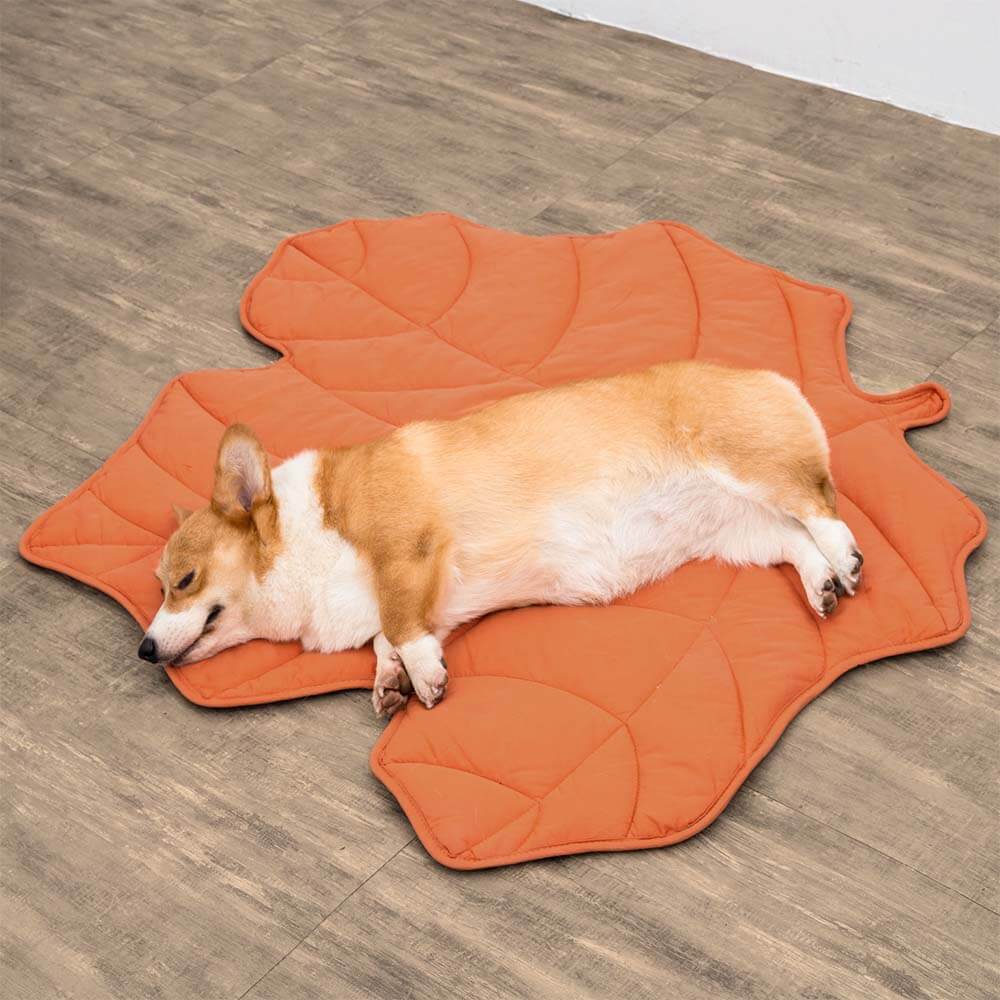 Leaf Pattern Dog Blanket 120×110 cm Anthurium Pink – Soft Pet Blanket Protective Cover for Sofa and Armchair | Sansoti