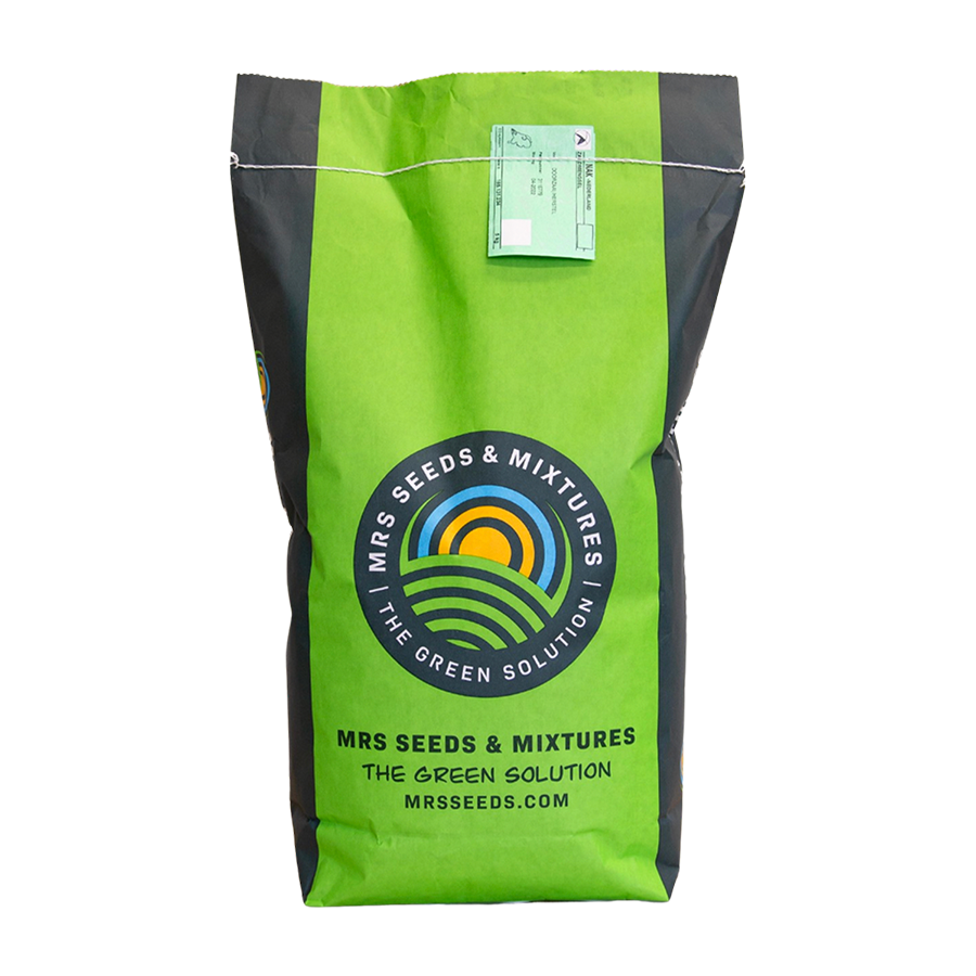 MRS Seeds & Mixtures Beemdlangbloem - Festuca pratensis