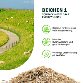 MRS Seeds & Mixtures Deichen 1 - 15 kg | Schmackhaftes Gras für Beweidung [de]