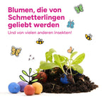 MRS Seeds & Mixtures Flower Bombs - Samenbomben mix - Vielen Dank! [de]