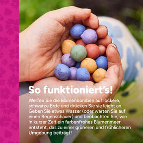 MRS Seeds & Mixtures Flower Bombs - Zaadbommen mix - Originals [de]