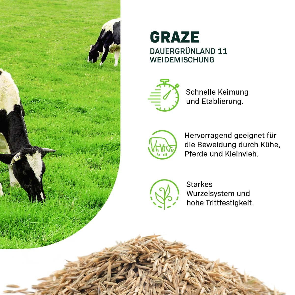 MRS Seeds & Mixtures Graze - Dauergrünland 11 | Weidemischung [de]