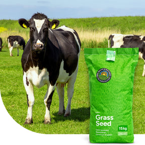 MRS Seeds & Mixtures Graze - Dauergrünland 4 - 15KG [de]