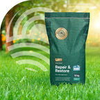 MRS Seeds & Mixtures Repair & Restore Premium - Rasensamen Nachsaat 10 kg [de]